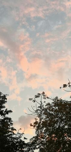 手机壁纸分享